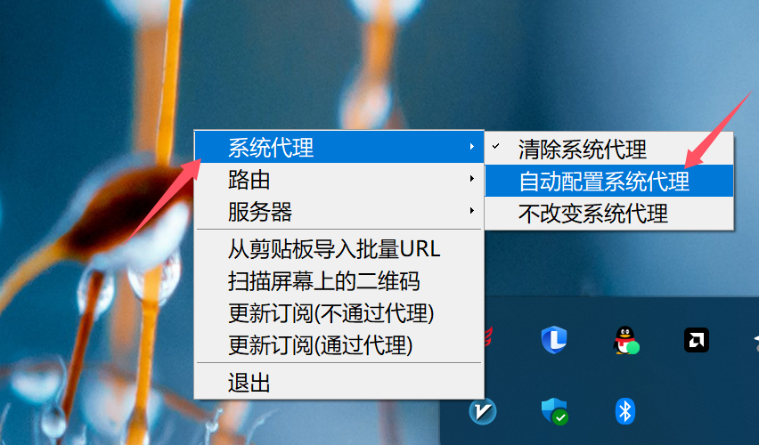 V2rayN 系统代理设置